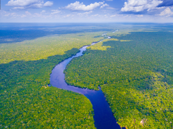 Amazon River View