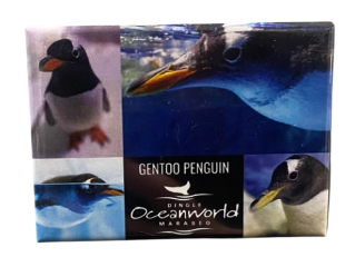 Oceanworld magnet gentoo penguins