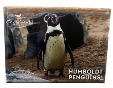 Humboldt magnet oceanworld